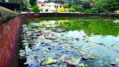 State to prepare plan for revival of 39 worst polluted lakes