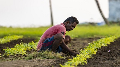 Farmers need resilient value chains to combat climate impact