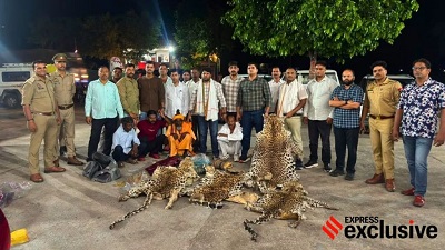 Leopard skins seized top Delhi wildlife NGO accused of nexus with poachers