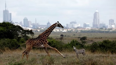 Humans to push further into wildlife habitats across more than 50% of land by 2070 – study