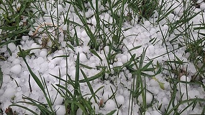 Half-hour hailstorms, season-long losses: how climate change is reshaping Kashmir&rsquo;s apple orchards