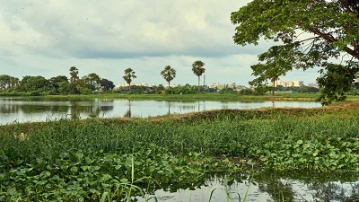 Constructed wetlands are nature’s ingenious solution for wastewater treatment in India