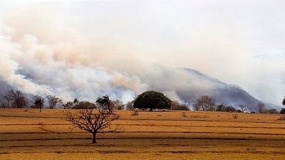 Brazil faced its worst forest fires in 2024, more than 62% area burnt