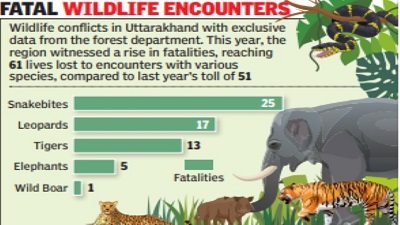 61 killed in human wildlife conflicts in Uttarakhand this yr