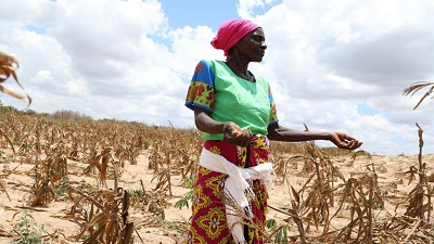 Climate crisis in Africa exposes real cause of hunger – colonial food systems that leave people more vulnerable