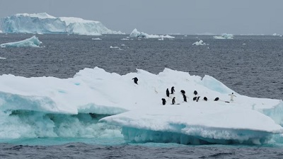 Has climate change driven Antarctica to the point of no return?