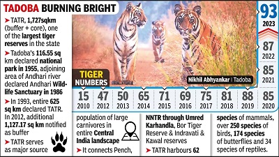 Tadoba tiger count rising, experts fear reserve on cusp of saturation