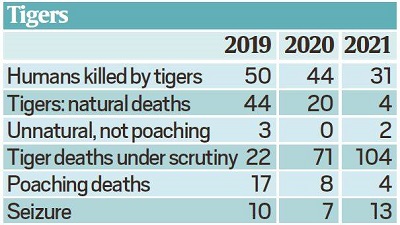 Telling Numbers: Toll of human-animal conflict on tigers, elephants and people