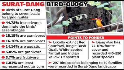 297 bird species make Dang their home