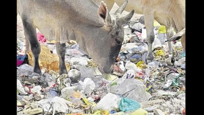 Plastic predicament needs multi pronged approach says environmentalist