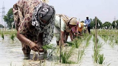 A climate shield for India’s small farme