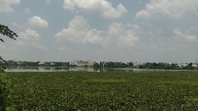 Sembakkam lake continues to face sewage pollution despite repeated representations