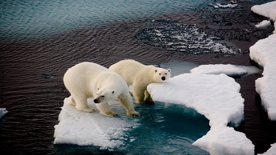 Climate change unveils new methane source: Groundwater springs of Norway