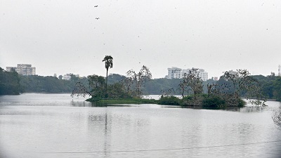 One out of 12 of 1.4k bird species recorded in India visited Rabindra Sarobar last yr