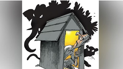 685 people killed in human-wildlife conflicts in TN in 10 years