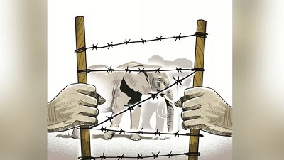 Human elephant conflict cases in TNs Dharmapuri drop