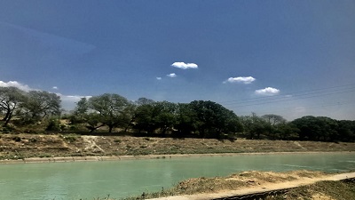 Sutlej river pollution: Millions on verge of health risks, NGT raises alarm