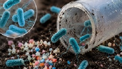 Scientists discover plastic eating bacteria