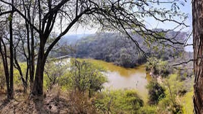 Sukhna wildlife survey confirms adult leopards bird species count doubles
