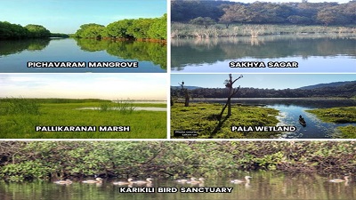 India’s Ramsar sites rise to 54 as 5 wetlands get ‘international importance’ tag