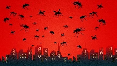 Mosquitoes & climate change How rising temperatures are adding to the bite and buzz