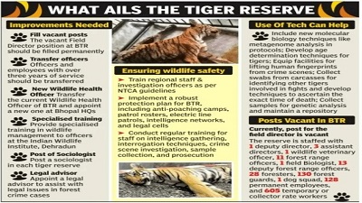 Bhopal Files shut on 20 tiger deaths in Bandhavgarh Tiger Reserve without probe