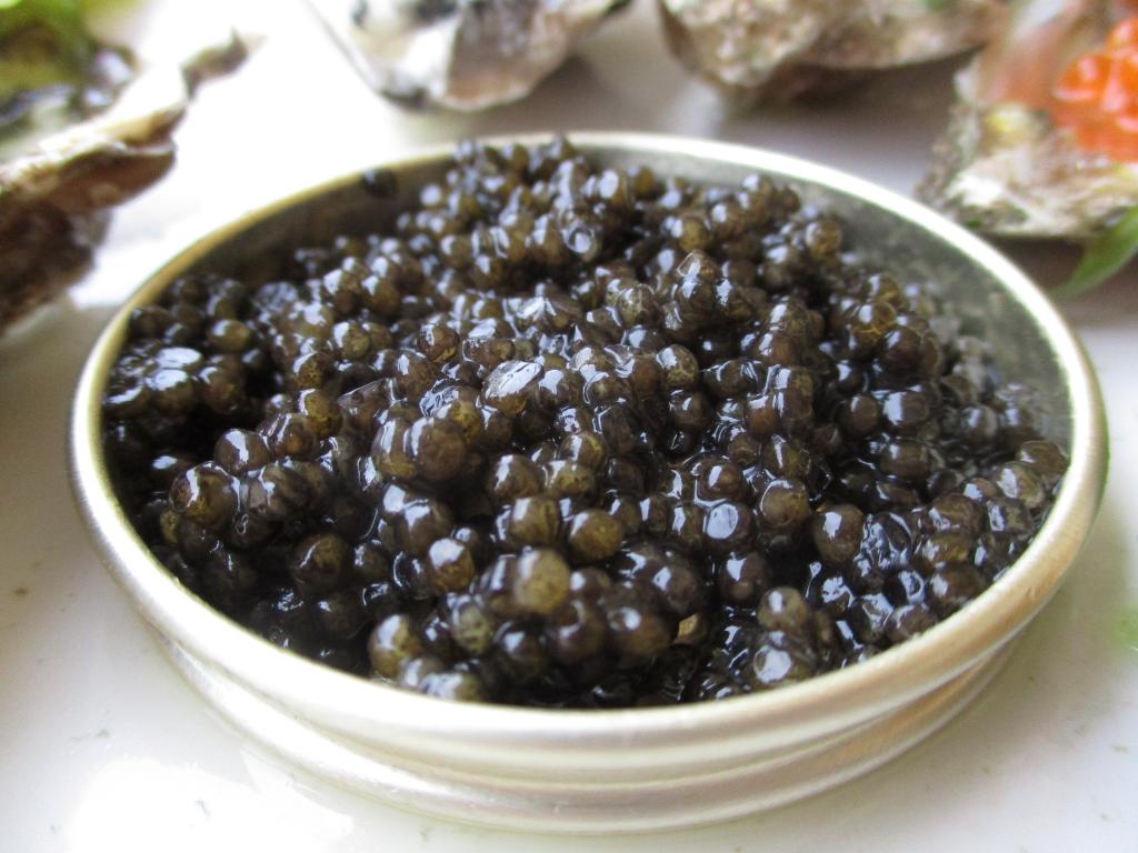 Sturgeon poaching for meat, caviar rampant in lower Danube: WWF report