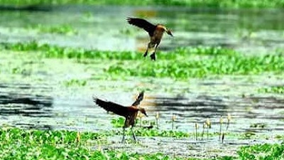 Water quality of 39 lakes deemed worst by state pollution board