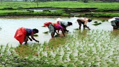 How nature-based solutions make agriculture more resilient to climate change