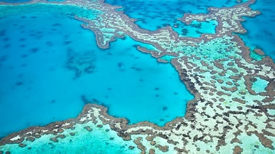 Climate change drives sharpest Great Barrier Reef coral loss in nearly 40 years