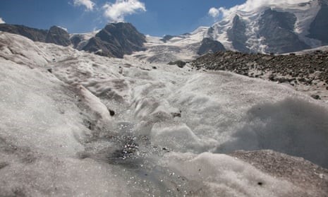 Melting glaciers in Alps threaten biodiversity of invertebrates, says study