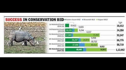 Over 1 lakh migratory birds flock to Kaziranga wetlands