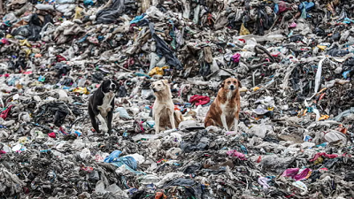 Germany was largest exporter of plastic waste in 2025, sending 810,000 tonnes overseas, analysis finds