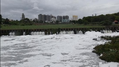 Dead fish found at Dehu Ghat: Water sample reveals dissolved oxygen below standard limit