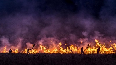 Hawaii’s devastating wildfire is linked with climate change