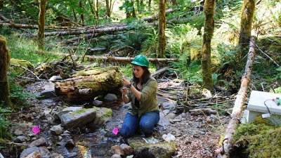 Climate change is already disrupting US forests and coasts. Here’s what we’re seeing at 5 long-term research sites