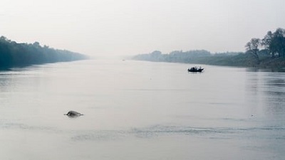 India will soon get a clear picture of its Ganges and Indus river dolphins Centre