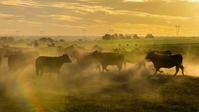 Climate change could lead to four times the nitrogen pollution by 2100