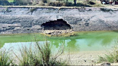 Rajasthan: Indira Gandhi Nahar water is polluted, says minister Gajendra Singh Shekhawat