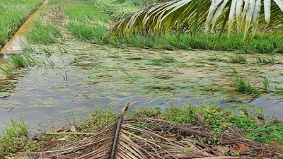 Climate change poses double whammy for Bihar — floods in 5 districts despite 26% rainfall deficit across state