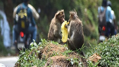 55 tonne plastic waste collected from Tamil Nadu forests in a single day