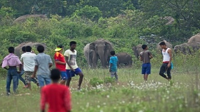 Humans and wildlife to share more than half of Earth’s land by 2070