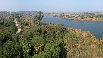 NGT issues notice to Centre and UP over Yamuna pollution in Mathura, Vrindavan