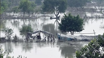 Plantation drives along Yamuna halted, Delhi govt to assess damage to saplings