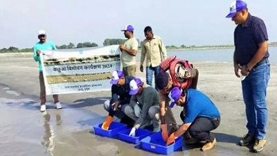 157 endangered turtles released into Ganga in Bijnor