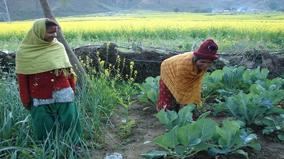 Rising to the call of climate change