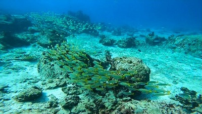 Warmer oceans are sounding a warning