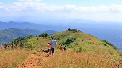 Warming oceans and drying air driving ecological droughts across India’s forests and croplands