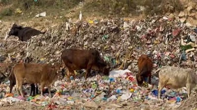 Domestic waste polluting Ganga, residents demand to relocate dumping ground