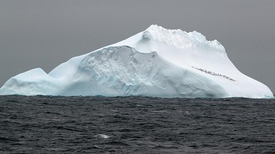 A million-year-old marine DNA can reveal how climate change will affect Antarctica